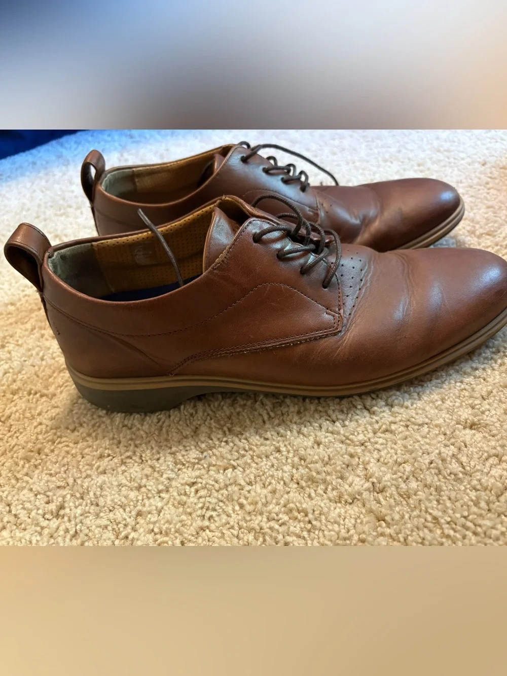 Men's Amberjack the Original